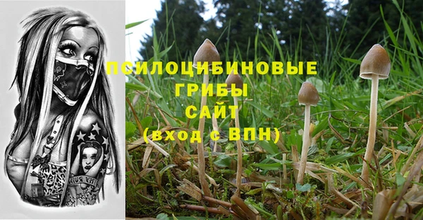 Альфа ПВП Аркадак